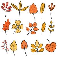 conjunto de folhas de outono desenho vetorial vetor