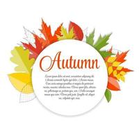 fundo de folhas naturais de outono brilhante. ilustração vetorial vetor