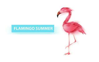 verão bandeira com flamingo em branco plano de fundo, mínimo simples Projeto para poster, folheto, convite, cartão, rede local ou inscrição Smartphone. criativo Projeto papel cortar estilo, vetor ilustração eps10