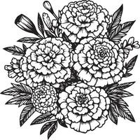 nascimento flor calêndula rabisco calêndula ramalhete do flor Projeto para cartão ou imprimir. pintado à mão marogold flores ilustração isolado em branco fundos, gravado tinta arte floral coloração Páginas vetor