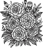 calêndula flores coloração página, simplicidade, embelezamento, monocromático, vetor arte, esboço impressão com flores calêndula flor, folhas, e brotos calêndula Francisca flores tatuagens, isolado em uma branco