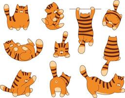 conjunto do engraçado desenho animado tigre personagem vetor ilustração. animal coleção para impressão bebê Projeto ou rede gráfico.