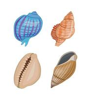 coleção do vetor desenho animado ilustração do colorida conchas do mar em branco fundo.