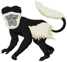fofa Colobus macaco desenho animado isolado em branco fundo. vetor ilustração