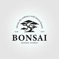 vintage bonsai árvore logotipo Projeto inspiração. vetor ilustração do estético bonsai. bonsai árvore a partir de chinês e japonês cultura marca identidade para hotel branding.