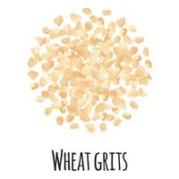 grãos de trigo para design de mercado de fazendeiro de modelo, rótulo e embalagem. vetor