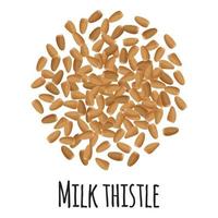 cardo de leite para design de mercado de fazendeiro de modelo, rótulo e embalagem. vetor