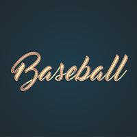 &#39;Baseball&#39; rótulo feito pelo couro, ilustração vetorial