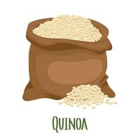 Quinoa plantar, Quinoa grãos dentro uma tela de pintura bolsa. agricultura, comida, Projeto elemento, vetor