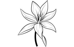 linha arte baunilha flor ilustração, baunilha flor esboço tinta vetor ilustração.