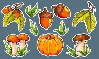 conjunto de outono. cogumelos, abóbora, bolotas, grama, folhas de carvalho. vetor