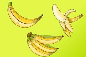 conjunto de ilustração de banana com estilo cartoon para elemento gráfico vetor