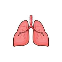 ilustração em vetor órgão pulmão humano. pulmões isolados design