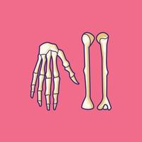 ilustração em vetor osso de braço e osso de mão