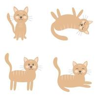 conjunto de gatos em diferentes poses ilustração vetorial vetor