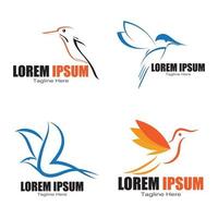 modelo de design de ícone de vetor de logotipo de pássaro