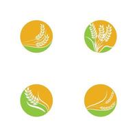 agricultura trigo logotipo modelo vetor ícone design