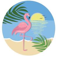 flamingo rosa na praia, pôr do sol sobre o mar vetor