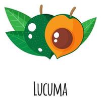 fruta superalimento lucuma para mercado de fazendeiro de modelo, etiqueta, embalagem. vetor