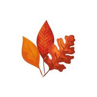 ícone isolado de folhas de outono vetor