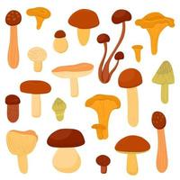 um conjunto de cogumelos comestíveis diferentes. ilustração vetorial de desenho animado vetor