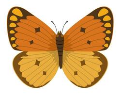 borboleta vetor. amarelo e laranja areia tons borboleta isolado. desenho animado vetor gráficos.