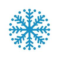 abstrato vetor inverno floco de neve colorida ícone Projeto modelo