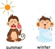 ilustração em vetor oposto verão e inverno