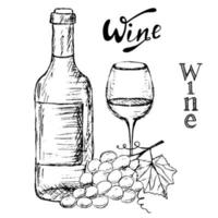garrafa e copo de vinho com um ramo de uvas. vetor