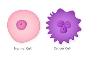 normal e Câncer célula. saudável Rosa natural Formato e metástase roxa com numerosos carcinomas oncológico crescimentos e tumor vetor divisões.