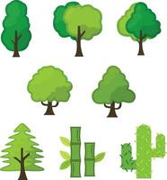 tropical árvores plano vetor ilustração coleção, árvore ilustração