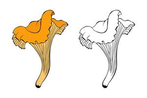 chanterelle cogumelo conjunto mão desenhado contorno rabisco, isolado, branco fundo. vetor