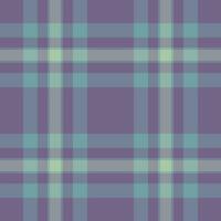 xadrez Verifica tartan do textura desatado têxtil com uma tecido vetor fundo padronizar.