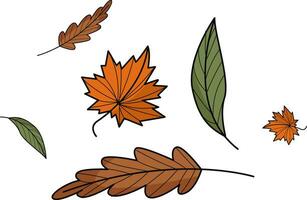 outono folhas adesivos ilustração para rede aplicativo, infográfico etc vetor