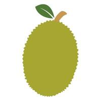 durian fruta ícone vetor