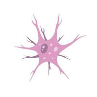 neurônio célula. cérebro atividade e dendritos. membrana e a núcleo. médico conceito do memória e conexão. educacional ilustração isolado em branco vetor
