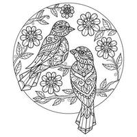 dois pássaros dentro círculo flores mão desenhado para adulto coloração livro vetor