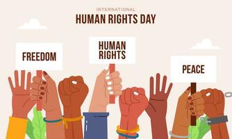 mão desenhado internacional humano direitos dia fundo com mãos vetor