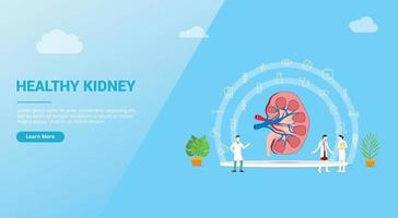 rins ou conceito de saúde renal para modelo de site vetor