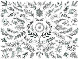 mão desenhado floral decoração folhas. esboço ornamental galhos, decorativo folhas e flores vetor ilustração conjunto
