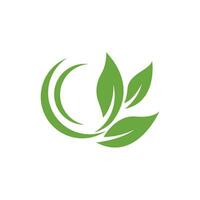 logotipos da ecologia de folhas verdes vetor