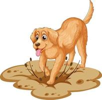 desenho animado de cachorro golden retriever em fundo branco vetor