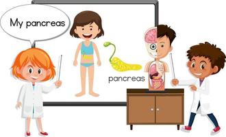 jovem médico explicando a anatomia do pâncreas vetor