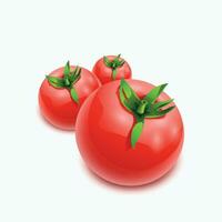 tomates com sombras vetor