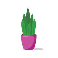 planta doméstica em um vaso de bolinhas rosa vetor