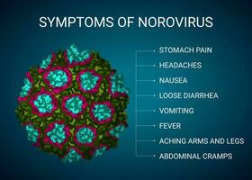 norovírus sintomas ilustração, médico infográfico vetor