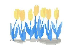 pixel arte plantar amor minimalista ilustração conjunto do tulipas vetor