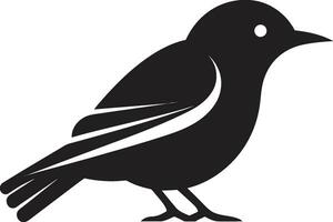 régio águia-pescadora monograma majestoso gaivota emblema vetor