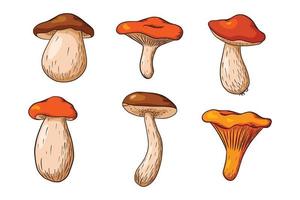 conjunto de cogumelos da floresta vetor