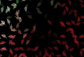 pano de fundo de doodle de vetor verde e vermelho escuro.